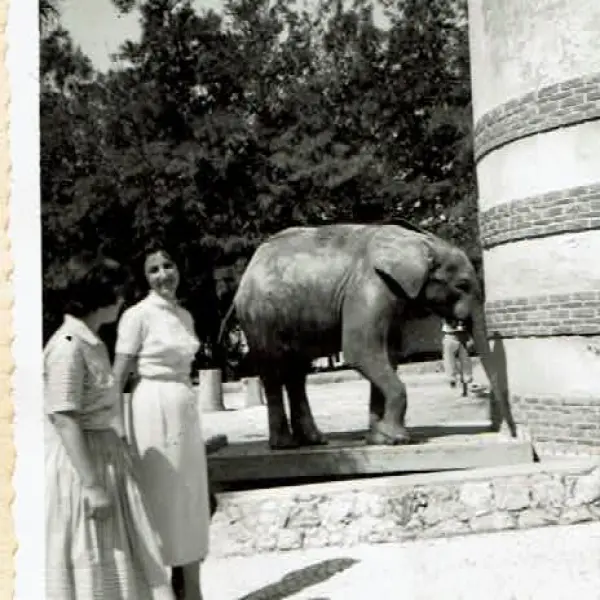Excursión a Lisboa  - Zoo